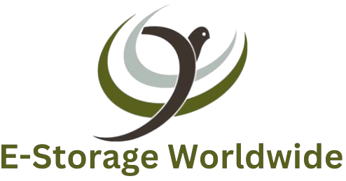 E-STORAGE WORLDWIDE LTD